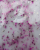 IMG_6058.png