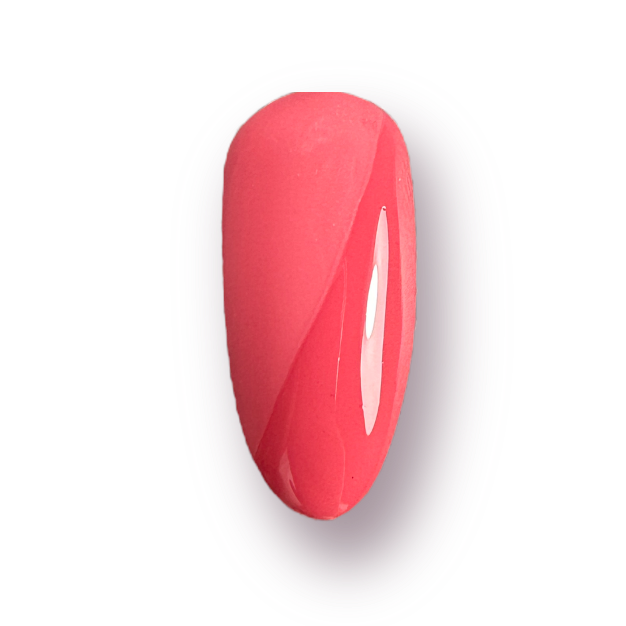 e313145db7ad736481715cb87b8ff87a